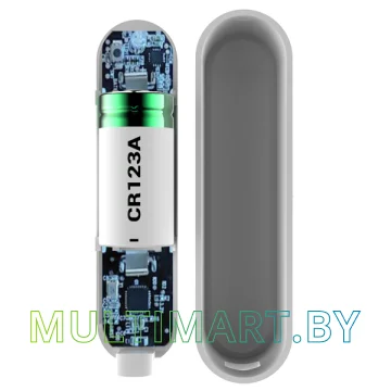 Датчик Ritmix SDT-100-Tuya картинка 4